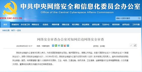 中國(guó)知網(wǎng) 北京網(wǎng)絡(luò)技術(shù)服務(wù)與外資關(guān)系的探討